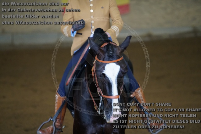 s_K3F03820.JPG